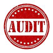 Audit logo