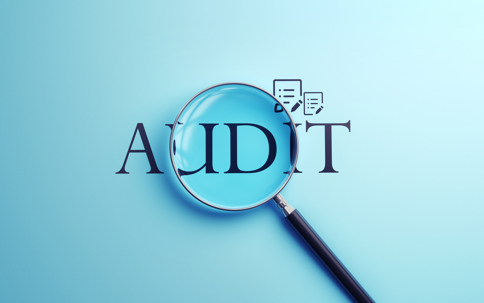 Audit Text Selected with Metallic Magnifying Glass